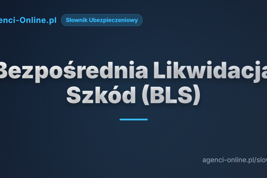 bezporednia likwidacja szkd bls