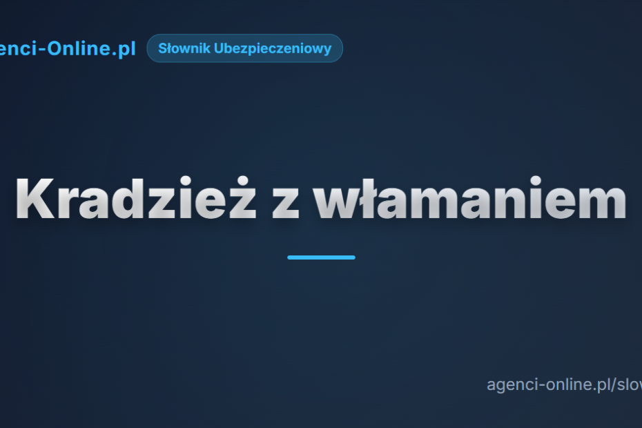 Kradzież z włamaniem 6 kradzie z wamaniem