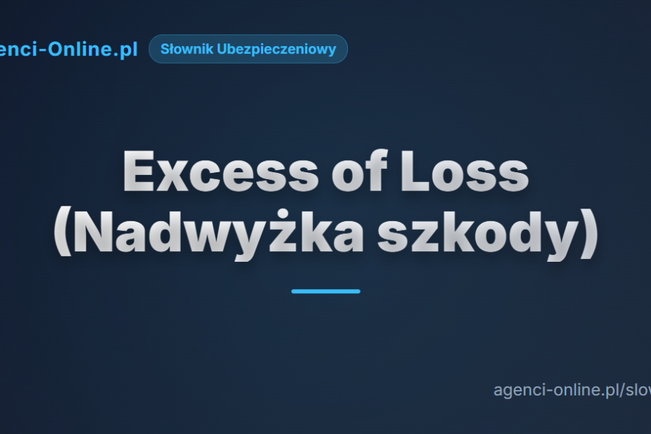 Excess of loss (Nadwyżka szkody) 8 Excess of loss (Nadwyżka szkody)